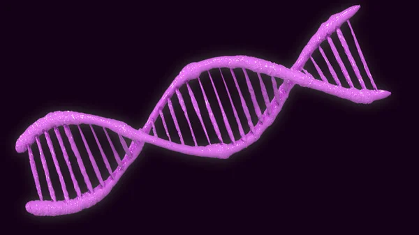 Dna Strands Spiral Double Helix Human Dna Structure Dna Strand — Stock Photo, Image
