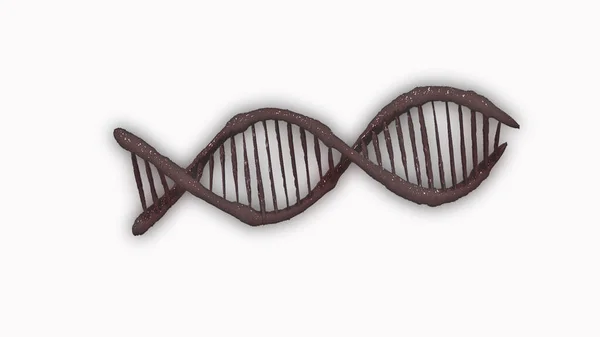 Gene Deoxyribonucleic Acid Isolated White Background Biotechnology Dna Structure Human — Stock Photo, Image