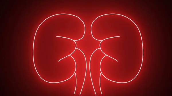 Glowing red neon line Human kidneys icon isolated on black background. Neon human kidneys icon in line style. Urinary system part symbol. 4K Video motion graphic animation.