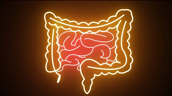İnsan sindirim sisteminin sarı neon anatomisi. İnsan sindirim sisteminin anatomisi, bağırsak konsepti. Neon İnsan Bağırsak Hareketi