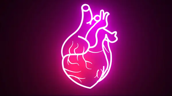 Glowing red and purple neon human heart animation. Human blood circulation system heartbeat anatomy animation concept