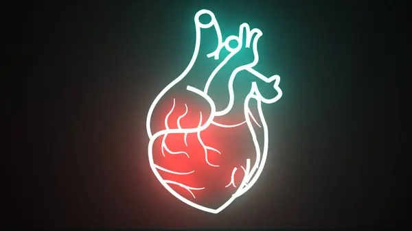 Glowing red and blue neon human heart animation. Human blood circulation system heartbeat anatomy animation concept. Animation of a breathing glowing human heart.