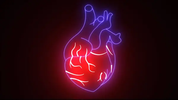 Red and blue neon line Human organ heart icon isolated on black background. Neon medical animation - Heart. Motion graphic animation 4k