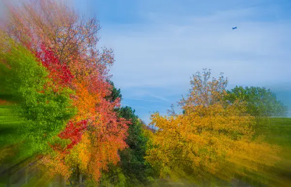Parkta Renkli Sonbahar Ağaçları — Stok fotoğraf