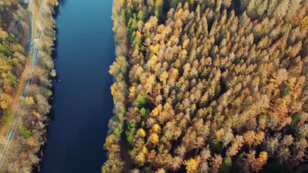 川の岸と森の空中風景 — ストック動画