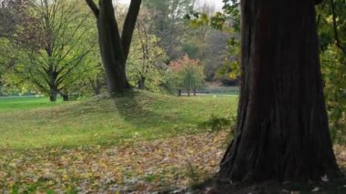park'ın sonbahar ağaçlarda