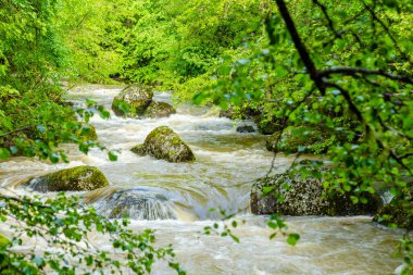 İlkbaharda çağlayan dağ nehri