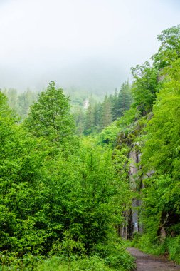 Sis bulutlarıyla baharda yüksek dağlar