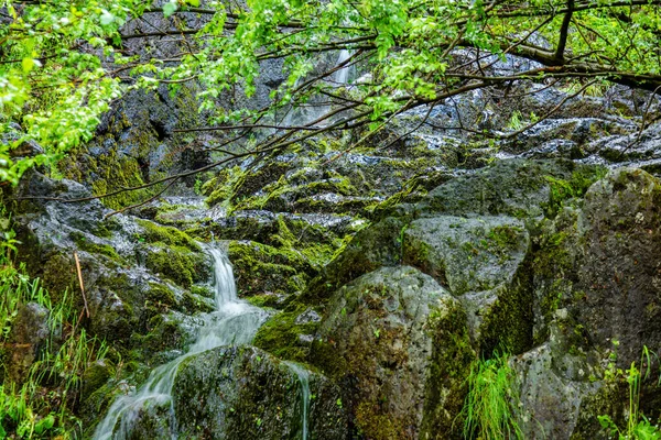 Górska Rzeka Kaskadami Wiosną — Zdjęcie stockowe