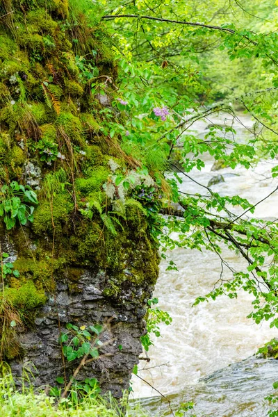 stock image mountain river with cascades in spring time