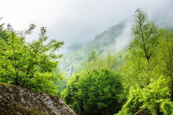 Hochgebirge Frühling Mit Nebelwolken — Stockfoto
