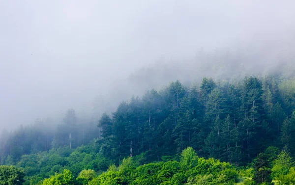 stock image high mountains in spring with foggy clouds