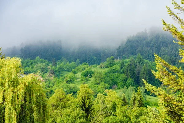 Hochgebirge Frühling Mit Nebelwolken — Stockfoto
