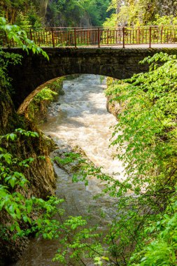 Küçük yol ilkbaharda ve nehirde gerçek dağlar