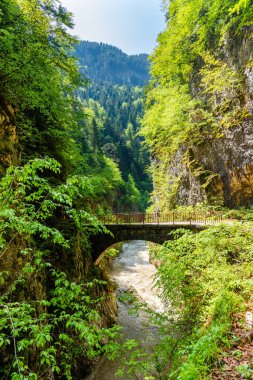 Küçük yol ilkbaharda ve nehirde gerçek dağlar