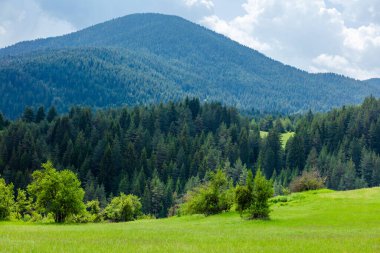 Orman ve dağ manzaralı doğal manzara