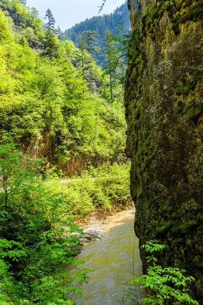 stock image small road true mountains in spring and river