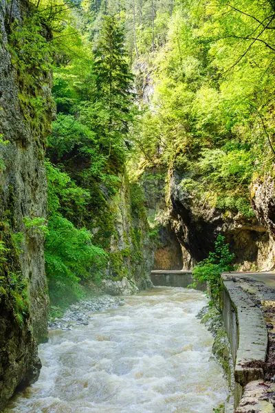 Stock image small road true mountains in spring and river