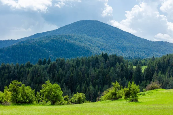 Naturlandschaft Mit Wald Und Bergblick — Stockfoto