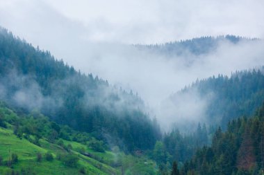 Sis bulutlarıyla baharda yüksek dağlar