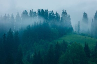 Sis bulutlarıyla baharda yüksek dağlar