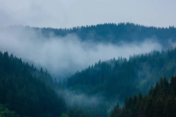 stock image high mountains in spring with foggy clouds