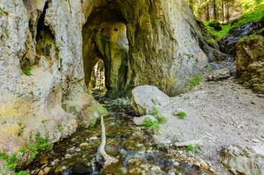 Bulgaristan 'daki Muhteşem Köprüler Doğal Fenomen