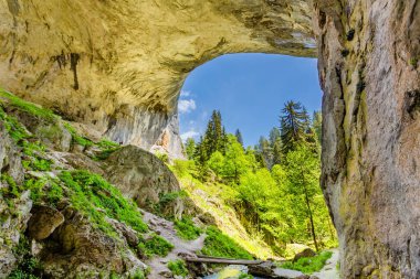 Bulgaristan 'daki Muhteşem Köprüler Doğal Fenomen