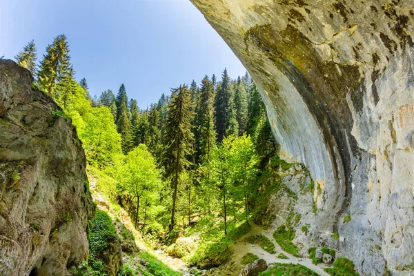Csodálatos Hidak Bulgáriában Természeti Jelenség — Stock Fotó