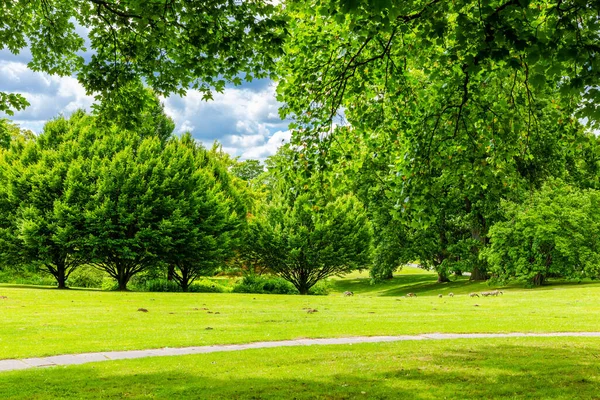 Yeşil çayır ve parkta bahar ağaçları olan doğal manzara.