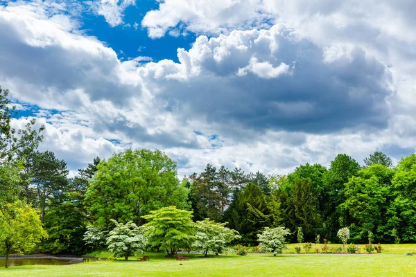 Yeşil çayır ve parkta bahar ağaçları olan doğal manzara.