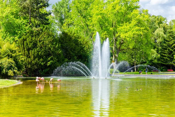 Gölün doğal manzarası. Parkta çeşme ve bahar ağaçları var.