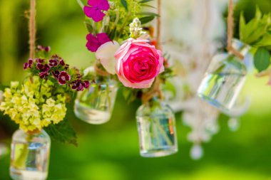 Yeşil park bahçesinde çiçek açan güller