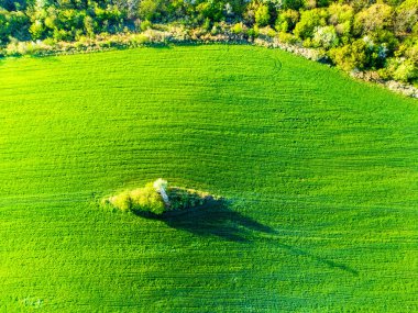 Yeşil dağ ve ormanın havadan görünüşü, yukarıdan görüş..