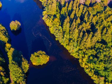 Yeşil dağların ve nehrin havadan görünüşü, yukarıdan manzara.