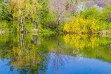 İlkbaharda çiçek açan ağaçlar ve suda güzel yansımalar.