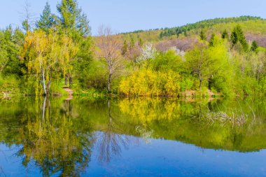 İlkbaharda çiçek açan ağaçlar ve suda güzel yansımalar.