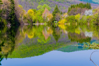 İlkbaharda çiçek açan ağaçlar ve suda güzel yansımalar.