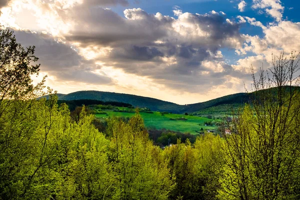 Naturlandskap Med Vårträd Och Gröna Berg — Stockfoto