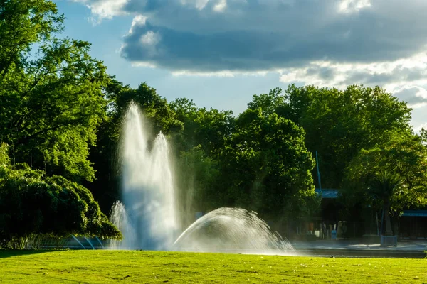 beautiful fountain in lake in the local park in summer