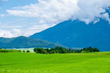 Alplerdeki dolomite dağları bulutlu ve manzara sisli.