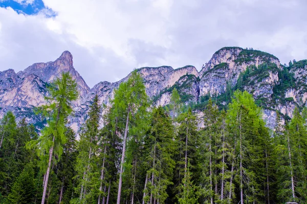 Alplerdeki dolomite dağları bulutlu ve manzara sisli.