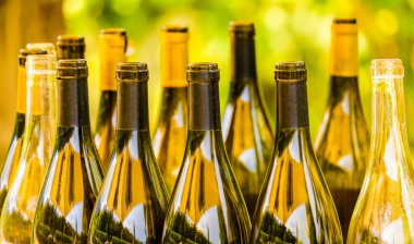 Şarap üretimi için şişeler. Alkol üretimi. Şarap deposu.