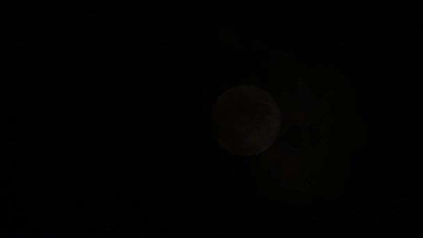 Super Pleine Lune Lumineuse Dans Les Nuages — Video