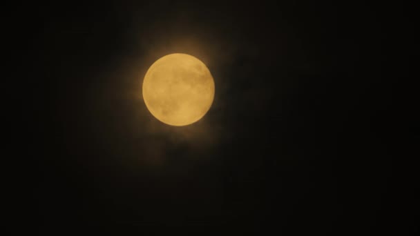 Bright Super Full Moon Clouds — Stock Video