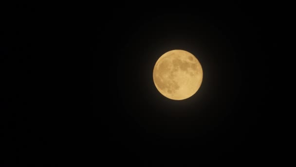 明亮的超级满月在云中 — 图库视频影像