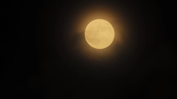 Lua Cheia Super Brilhante Nuvens — Vídeo de Stock