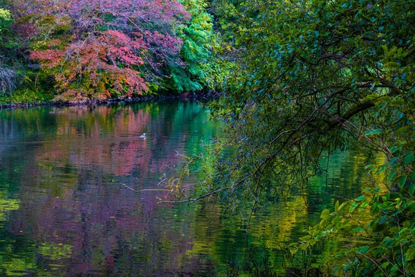 Jesień Parku Kolorowe Liście Drzew Jesienne Krajobrazy — Zdjęcie stockowe