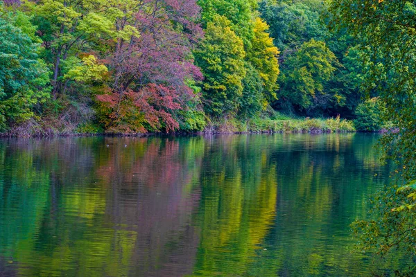 Φθινόπωρο Στο Πάρκο Πολύχρωμα Φύλλα Δέντρων Φθινοπωρινό Τοπίο — Φωτογραφία Αρχείου