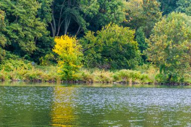 Sonbahar ağaçları suya yansıyor.